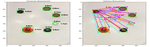 Image Processing: Dimensioning and measuring distance